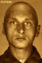 HERBICH Henry Joseph Adam - c. 02.05.1941, KL Auschwitz, concentration camp's photo; source: Archives of Auschwitz-Birkenau State Museum in Oświęcim (www.auschwitz.org), own collection; CLICK TO ZOOM AND DISPLAY INFO