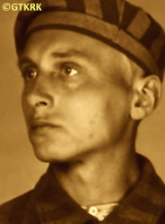 HERBICH Henry Joseph Adam - c. 02.05.1941, KL Auschwitz, concentration camp's photo; source: Archives of Auschwitz-Birkenau State Museum in Oświęcim (www.auschwitz.org), own collection; CLICK TO ZOOM AND DISPLAY INFO