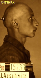 HERBICH Henry Joseph Adam - c. 02.05.1941, KL Auschwitz, concentration camp's photo; source: Archives of Auschwitz-Birkenau State Museum in Oświęcim (www.auschwitz.org), own collection; CLICK TO ZOOM AND DISPLAY INFO