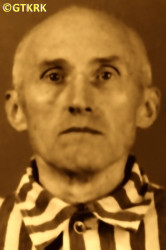 KŁOBUKOWSKI Mieczyslav Julius - c. 15.09.1942, KL Auschwitz, concentration camp's photo; source: Archives of Auschwitz-Birkenau State Museum in Oświęcim (auschwitz.org), own collection; CLICK TO ZOOM AND DISPLAY INFO
