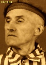 KŁOBUKOWSKI Mieczyslav Julius - c. 15.09.1942, KL Auschwitz, concentration camp's photo; source: Archives of Auschwitz-Birkenau State Museum in Oświęcim (auschwitz.org), own collection; CLICK TO ZOOM AND DISPLAY INFO