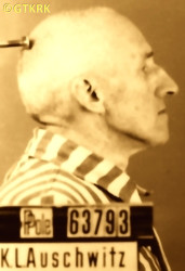 KŁOBUKOWSKI Mieczyslav Julius - c. 15.09.1942, KL Auschwitz, concentration camp's photo; source: Archives of Auschwitz-Birkenau State Museum in Oświęcim (auschwitz.org), own collection; CLICK TO ZOOM AND DISPLAY INFO