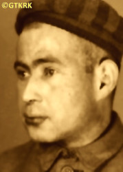 KŁOCZKOWSKI Mieczyslav John - c. 14.04.1942, KL Auschwitz, concentration camp's photo; source: Archives of Auschwitz-Birkenau State Museum in Oświęcim (www.auschwitz.org), own collection; CLICK TO ZOOM AND DISPLAY INFO