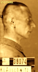 KNAŚ Andrzej - ok. 06.06.1942, KL Auschwitz, zdjęcie obozowe; źródło: Archiwum Państwowego Muzeum Auschwitz-Birkenau w Oświęcimiu (auschwitz.org), zasoby własne; KLIKNIJ by POWIĘKSZYĆ i WYŚWIETLIĆ INFO