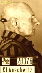 KOPLIŃSKI Anthony Adalbert (Fr Anicet) - c. 04.09.1942, KL Auschwitz, concentration camp's photo; source: Archives of Auschwitz-Birkenau State Museum in Oświęcim (gosc.pl), own collection; CLICK TO ZOOM AND DISPLAY INFO