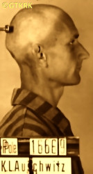 KOWALSKI Bernard - ok. 29.05.1941, KL Auschwitz, zdjęcie obozowe; źródło: Archiwum Państwowego Muzeum Auschwitz-Birkenau w Oświęcimiu (auschwitz.org), zasoby własne; KLIKNIJ by POWIĘKSZYĆ i WYŚWIETLIĆ INFO