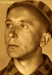 KOWALSKI Joseph - c. 26.06.1941, KL Auschwitz, concentration camp's photo; source: Archives of Auschwitz-Birkenau State Museum in Oświęcim (www.salesiansireland.ie), own collection; CLICK TO ZOOM AND DISPLAY INFO