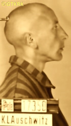 KOWALSKI Joseph - c. 26.06.1941, KL Auschwitz, concentration camp's photo; source: Archives of Auschwitz-Birkenau State Museum in Oświęcim (www.salesiansireland.ie), own collection; CLICK TO ZOOM AND DISPLAY INFO
