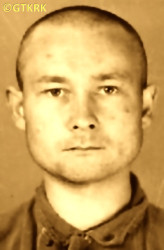 KRAKOWIAK Adam - ok. 21.07.1942, KL Auschwitz, zdjęcie obozowe; źródło: Archiwum Państwowego Muzeum Auschwitz-Birkenau w Oświęcimiu (auschwitz.org), zasoby własne; KLIKNIJ by POWIĘKSZYĆ i WYŚWIETLIĆ INFO