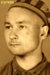 KRAKOWIAK Adam - ok. 21.07.1942, KL Auschwitz, zdjęcie obozowe; źródło: Archiwum Państwowego Muzeum Auschwitz-Birkenau w Oświęcimiu (auschwitz.org), zasoby własne; KLIKNIJ by POWIĘKSZYĆ i WYŚWIETLIĆ INFO