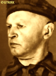 MĄCZYŃSKI Władysław Aleksander - ok. 10.02.1942, KL Auschwitz, zdjęcie obozowe; źródło: Archiwum Państwowego Muzeum Auschwitz-Birkenau w Oświęcimiu (auschwitz.org), zasoby własne; KLIKNIJ by POWIĘKSZYĆ i WYŚWIETLIĆ INFO