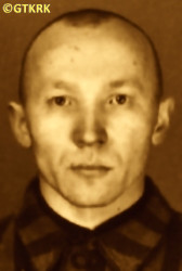 PACIOREK Joseph - c. 23.02.1942, KL Auschwitz, concentration camp's photo; source: Archives of Auschwitz-Birkenau State Museum in Oświęcim (auschwitz.org), own collection; CLICK TO ZOOM AND DISPLAY INFO