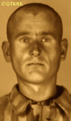 PRZYBYSZ Władysław - ok. 29.05.1941, KL Auschwitz, zdjęcie obozowe; źródło: Archiwum Państwowego Muzeum Auschwitz-Birkenau w Oświęcimiu (auschwitz.org), zasoby własne; KLIKNIJ by POWIĘKSZYĆ i WYŚWIETLIĆ INFO