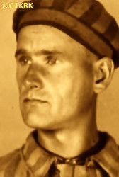 PRZYBYSZ Władysław - ok. 29.05.1941, KL Auschwitz, zdjęcie obozowe; źródło: Archiwum Państwowego Muzeum Auschwitz-Birkenau w Oświęcimiu (auschwitz.org), zasoby własne; KLIKNIJ by POWIĘKSZYĆ i WYŚWIETLIĆ INFO