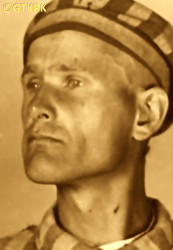 PRZYBYSZ Władysław - ok. 29.05.1941, KL Auschwitz, zdjęcie obozowe; źródło: Archiwum Państwowego Muzeum Auschwitz-Birkenau w Oświęcimiu (auschwitz.org), zasoby własne; KLIKNIJ by POWIĘKSZYĆ i WYŚWIETLIĆ INFO