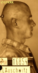 PRZYBYSZ Władysław - ok. 29.05.1941, KL Auschwitz, zdjęcie obozowe; źródło: Archiwum Państwowego Muzeum Auschwitz-Birkenau w Oświęcimiu (auschwitz.org), zasoby własne; KLIKNIJ by POWIĘKSZYĆ i WYŚWIETLIĆ INFO