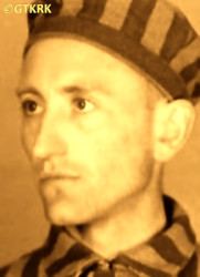 PRZYSTAŚ Roman - c. 13.12.1940, KL Auschwitz, concentration camp's photo; source: Archives of Auschwitz-Birkenau State Museum in Oświęcim (www.auschwitz.org), own collection; CLICK TO ZOOM AND DISPLAY INFO