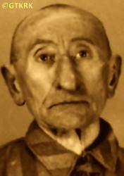 REWERA Antoni - ok. 28.03.1942, KL Auschwitz, zdjęcie obozowe; źródło: Archiwum Państwowego Muzeum Auschwitz-Birkenau w Oświęcimiu (www.auschwitz.org), zasoby własne; KLIKNIJ by POWIĘKSZYĆ i WYŚWIETLIĆ INFO