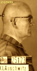 STABRAWA Joseph - c. 29.12.1941, KL Auschwitz, concentration camp's photo; source: Archives of Auschwitz-Birkenau State Museum in Oświęcim (www.auschwitz.org), own collection; CLICK TO ZOOM AND DISPLAY INFO