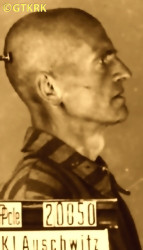 ŠTIKAR Franciszek (br. Wojciech) - ok. 11.1941, KL Auschwitz, zdjęcie obozowe; źródło: Archiwum Państwowego Muzeum Auschwitz-Birkenau w Oświęcimiu (www.auschwitz.org), zasoby własne; KLIKNIJ by POWIĘKSZYĆ i WYŚWIETLIĆ INFO