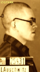 TROJANOWSKI Stanislav Anthony (Bro. Timothy) - c. 09.01.1942, KL Auschwitz, concentration camp's photo; source: Archives of Auschwitz-Birkenau State Museum in Oświęcim (plock.gosc.pl), own collection; CLICK TO ZOOM AND DISPLAY INFO