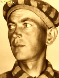 WĄSIK Jan - ok. 29.05.1941, KL Auschwitz, zdjęcie obozowe; źródło: Archiwum Państwowego Muzeum Auschwitz-Birkenau w Oświęcimiu (www.pallotyni.org), zasoby własne; KLIKNIJ by POWIĘKSZYĆ i WYŚWIETLIĆ INFO