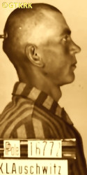 WĄSIK Jan - ok. 29.05.1941, KL Auschwitz, zdjęcie obozowe; źródło: Archiwum Państwowego Muzeum Auschwitz-Birkenau w Oświęcimiu (www.auschwitz.org), zasoby własne; KLIKNIJ by POWIĘKSZYĆ i WYŚWIETLIĆ INFO
