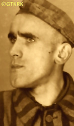 WILUCKI Tadeusz (o. Edmund) - ok. 04.11.1941, KL Auschwitz, zdjęcie obozowe; źródło: Archiwum Państwowego Muzeum Auschwitz-Birkenau w Oświęcimiu (www.augustianie.pl), zasoby własne; KLIKNIJ by POWIĘKSZYĆ i WYŚWIETLIĆ INFO