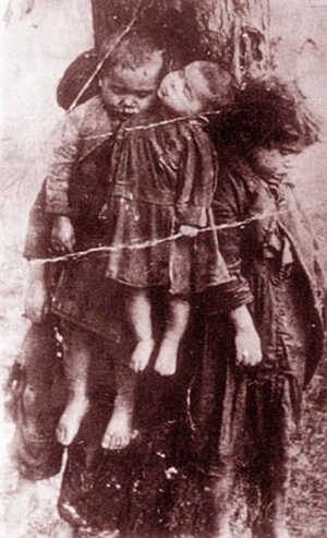 WIANUSZKI: prawd. 1943, Tarnopolo, zamordowane przez OUN-UPA polskie dzieci, polna aleja, nad którą UPowcy zawiesili transparent z napisem w przekładzie na język polski: 'Droga do wolnej Ukrainy'; źródło: www.koreywo.com